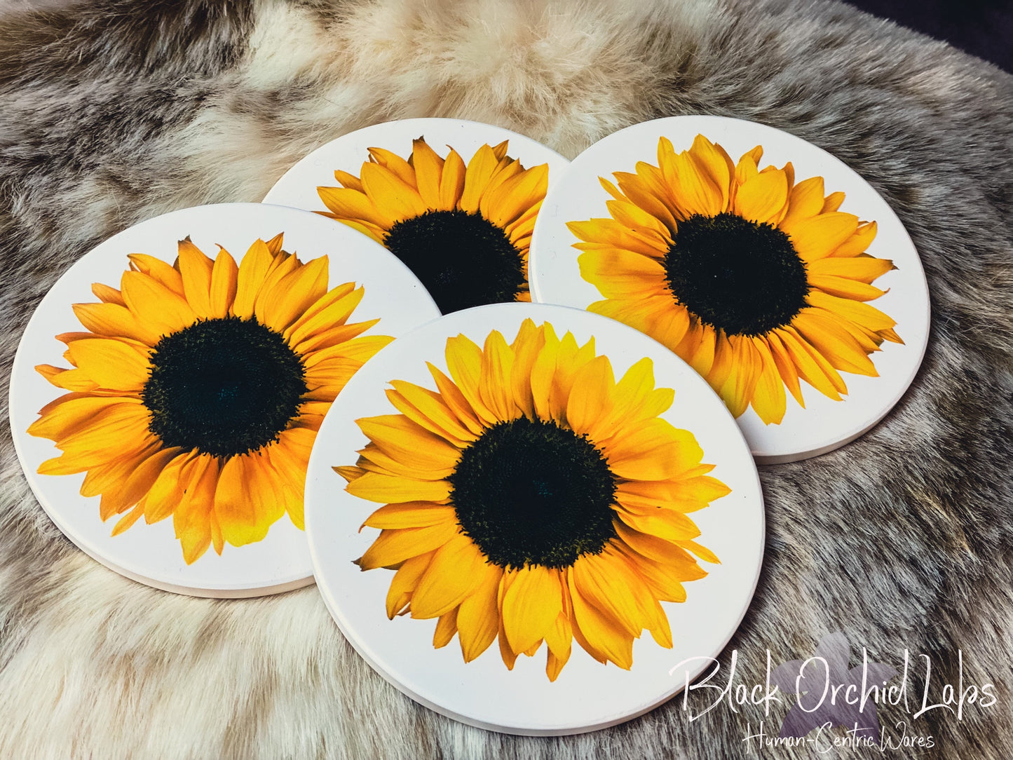 Sunflower Set of 4 Sandstone Coasters, Sunflower Nature Coasters, Housewarming Gift, Home and Office Gift, Wedding Gift, Sunflower decor