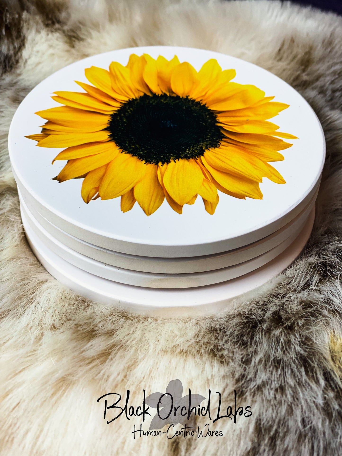 Sunflower Set of 4 Sandstone Coasters, Sunflower Nature Coasters, Housewarming Gift, Home and Office Gift, Wedding Gift, Sunflower decor