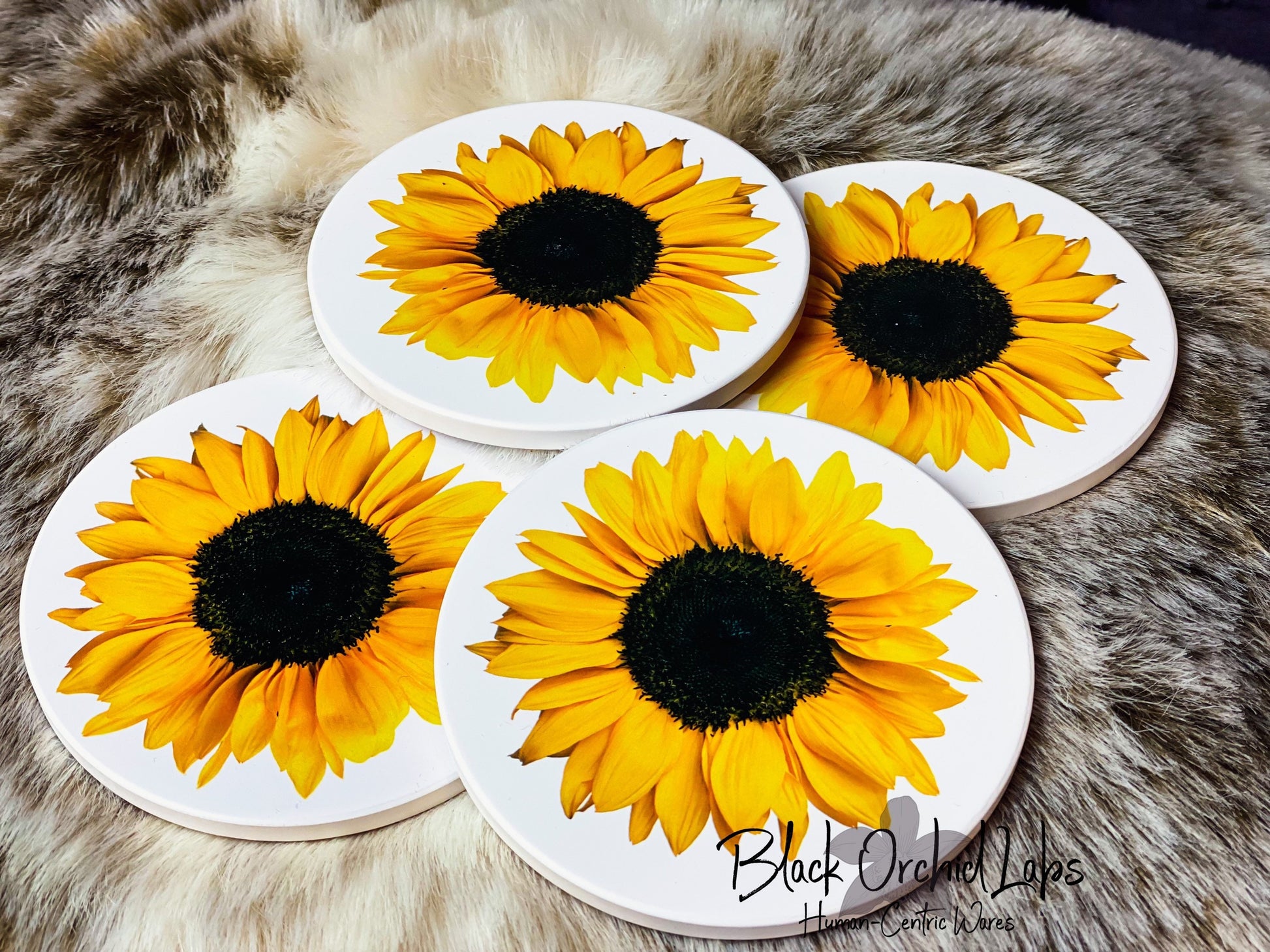 Sunflower Set of 4 Sandstone Coasters, Sunflower Nature Coasters, Housewarming Gift, Home and Office Gift, Wedding Gift, Sunflower decor