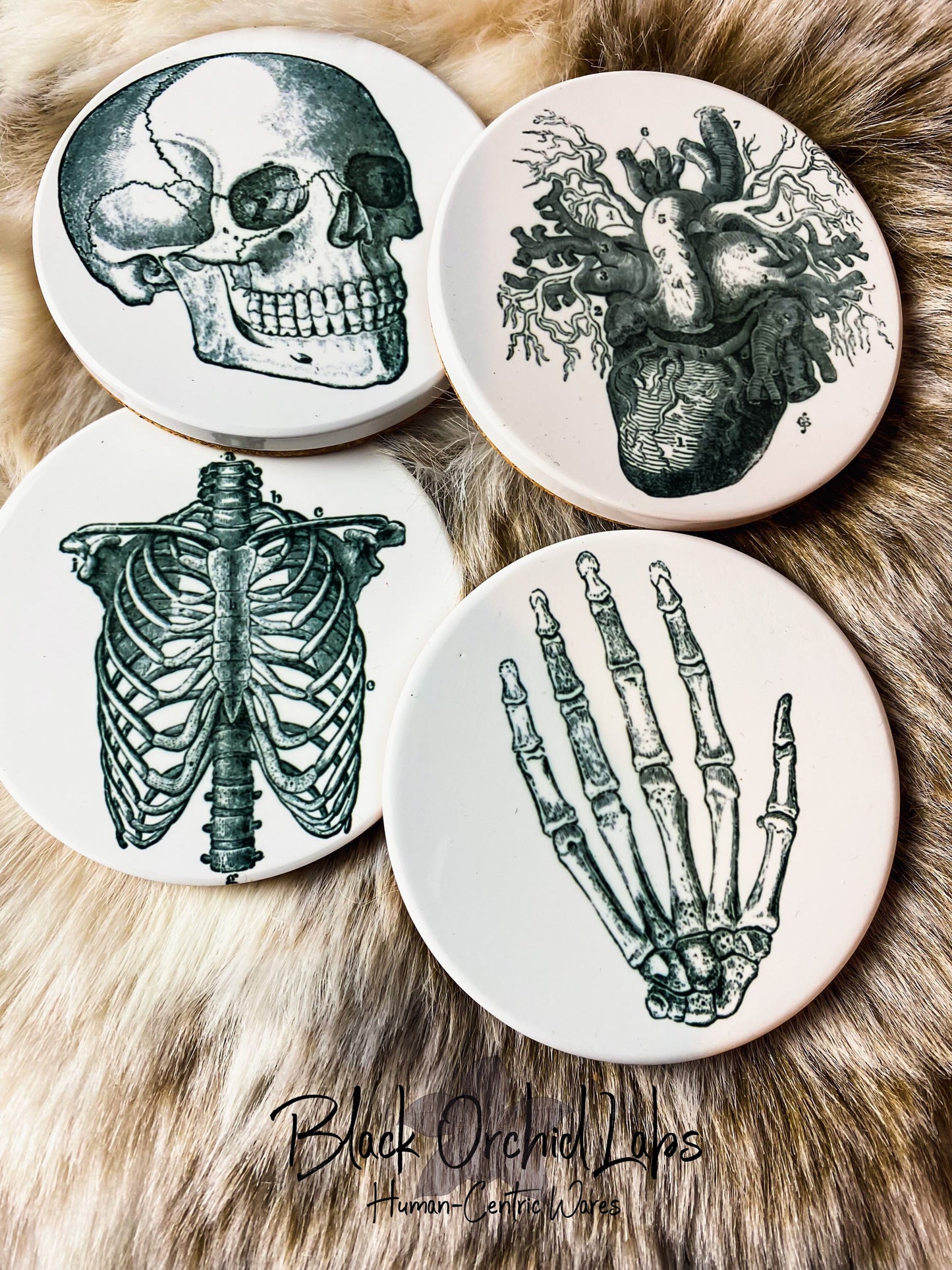 Vintage Skull Anatomy Coasters, Set of 4, Goth Coasters, Dark Academia, Furniture and Decor, Gift for him