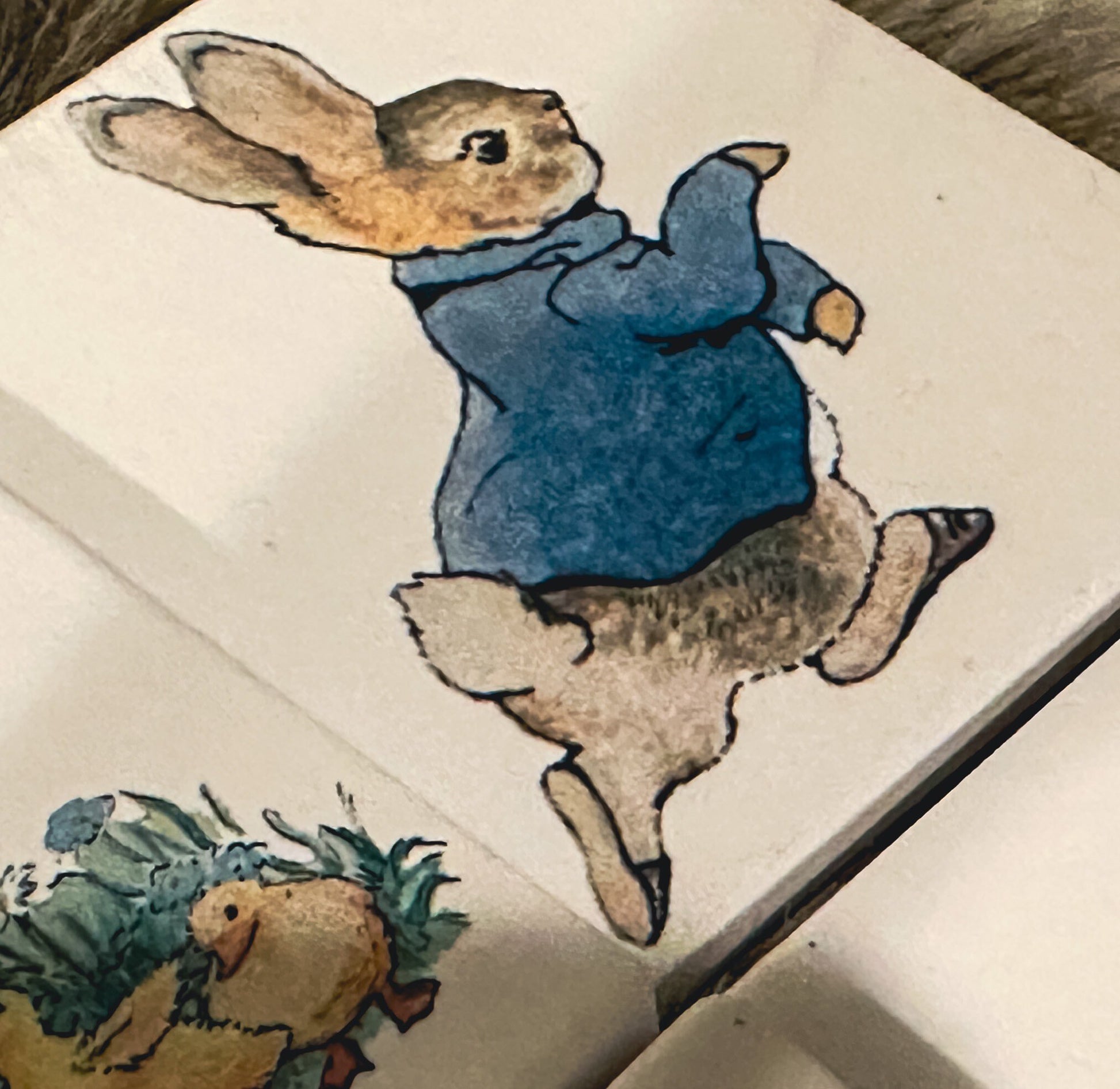 Beatrix Potter, Peter rabbit Sandstone coasters set of 4, furniture and decor, gift for book lover, bookish gift