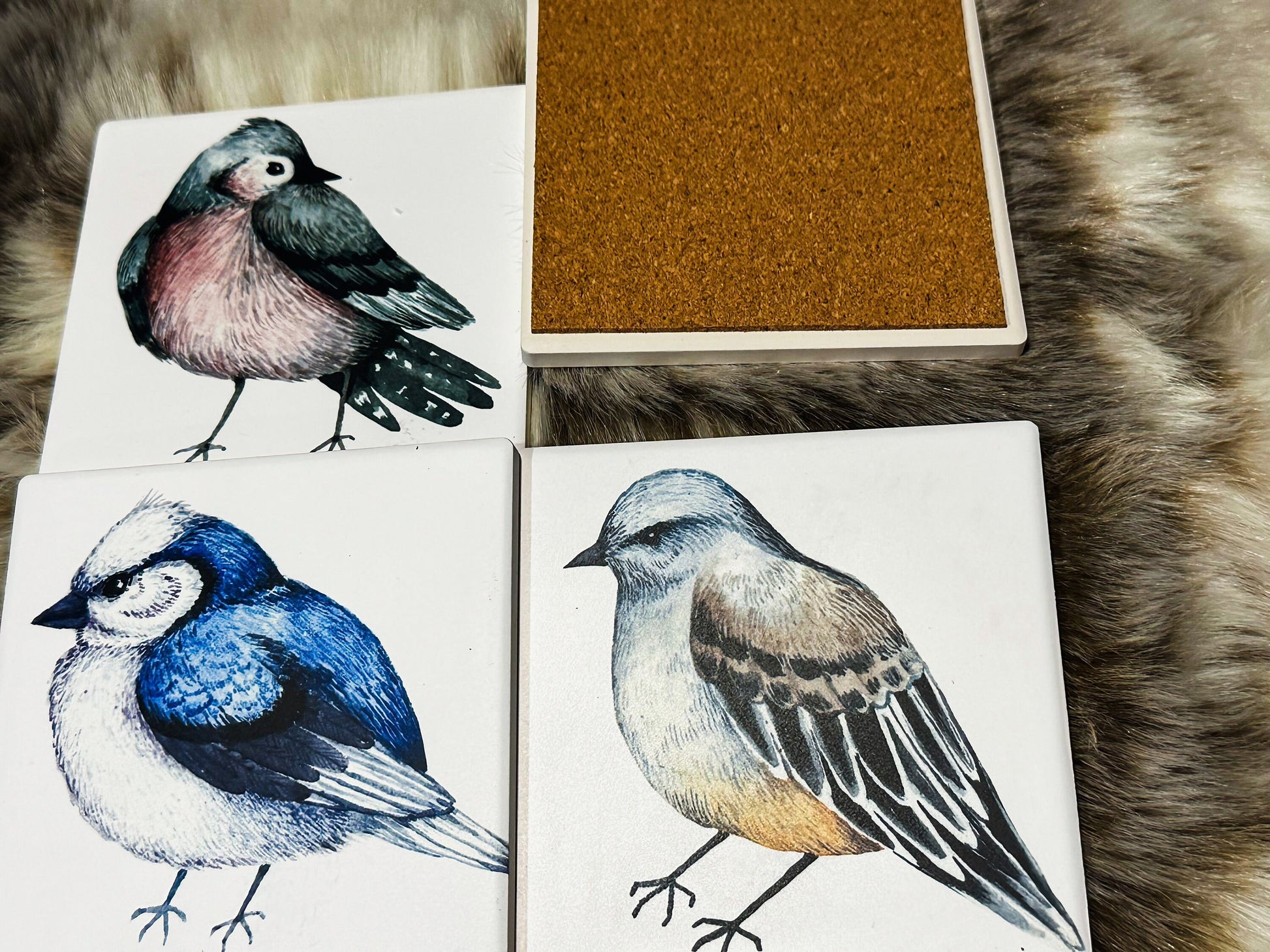 Birds Set of 4 Sandstone Coasters, furniture and decor, cottagecore decor, home gift, gift for her, bird decor