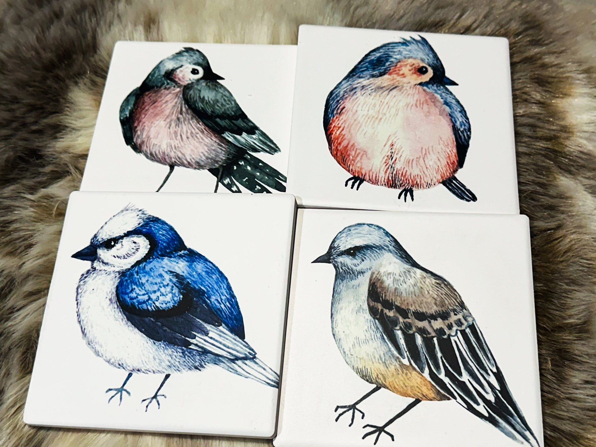 Birds Set of 4 Sandstone Coasters, furniture and decor, cottagecore decor, home gift, gift for her, bird decor